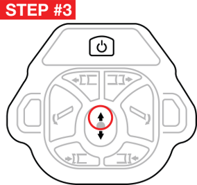 STEP#3-ex[ress Raise